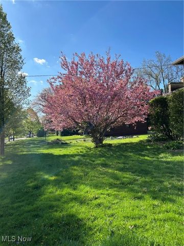 1568 W Exchange Street, Akron, OH 44313