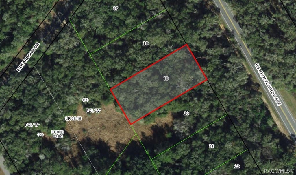 4940 N Florida Avenue, Hernando, FL 34442