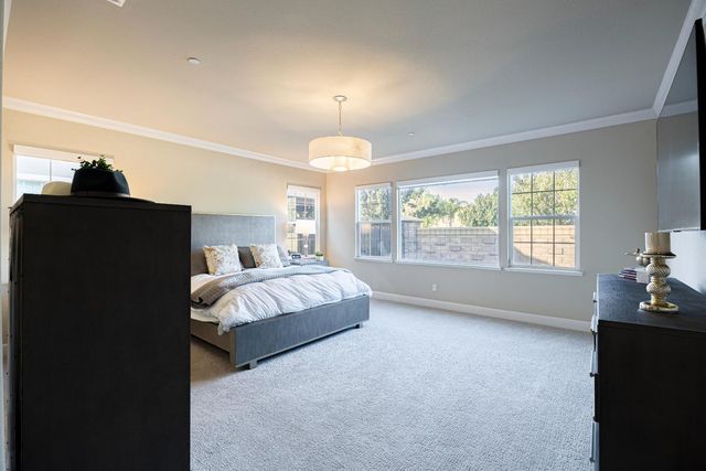 229 E Grazia Ave, Mountain House, CA 95391