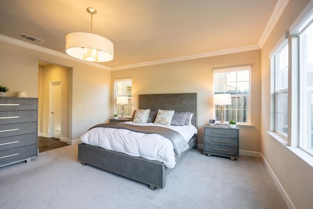 229 E Grazia Ave, Mountain House, CA 95391