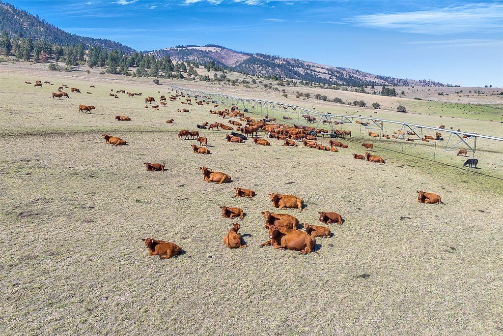 000 South Pastures, Florence, MT 59833 photo 13