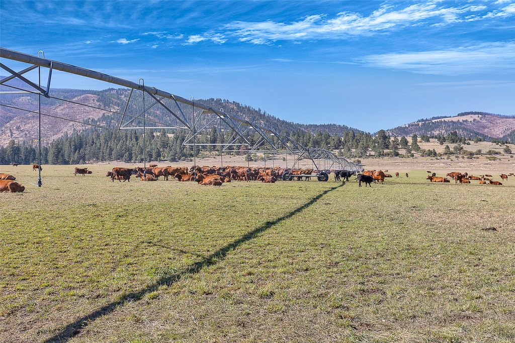 000 South Pastures, Florence, MT 59833 photo 14