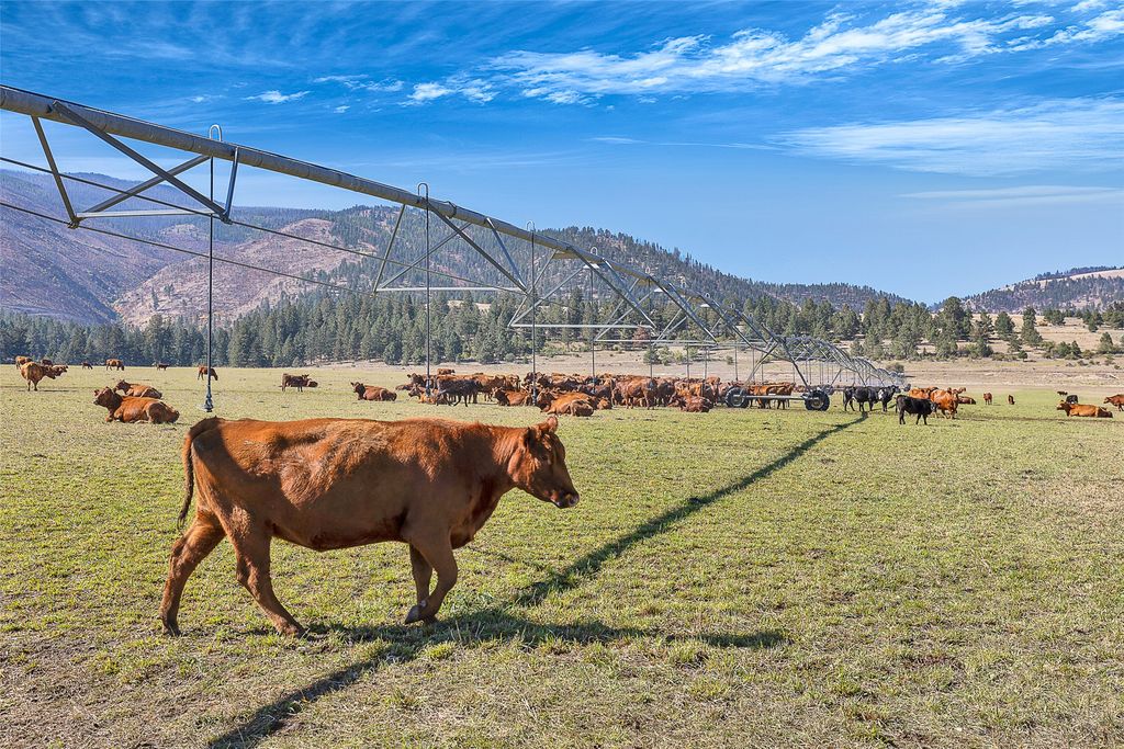 000 South Pastures, Florence, MT 59833 photo 2