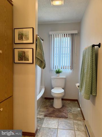 59 WHITE BIRCH DR, Jim Thorpe, PA 18229