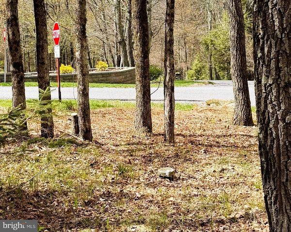 59 WHITE BIRCH DR, Jim Thorpe, PA 18229