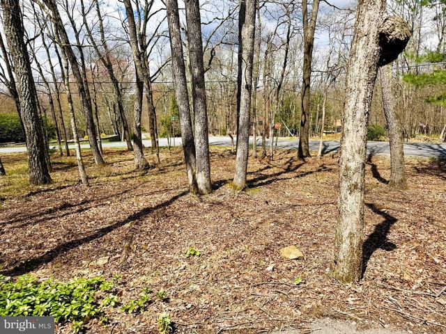 59 WHITE BIRCH DR, Jim Thorpe, PA 18229