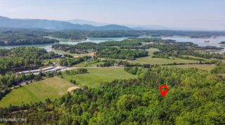 Indian Creek Rd, Dandridge, TN 37725