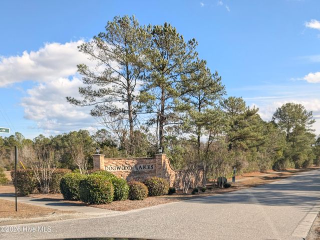 114 Lumis Court, Hampstead, NC 28443