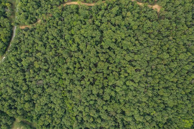 Lot 8 Mink Drive (9.13 Ac), Neosho, MO 64850