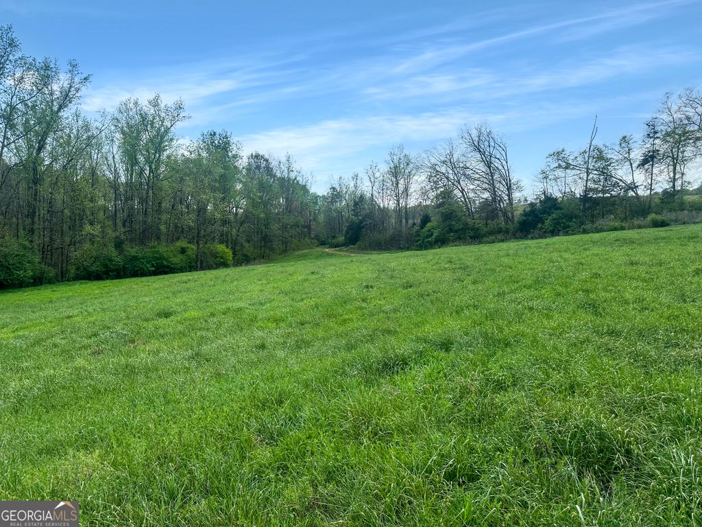 0 Gooseneck Road, Eastanollee, GA 30538 — photo 2