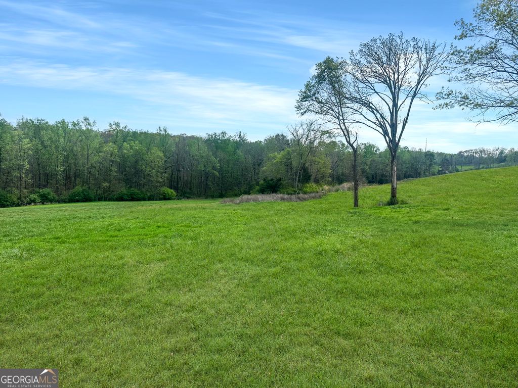 0 Gooseneck Road, Eastanollee, GA 30538 — photo 3