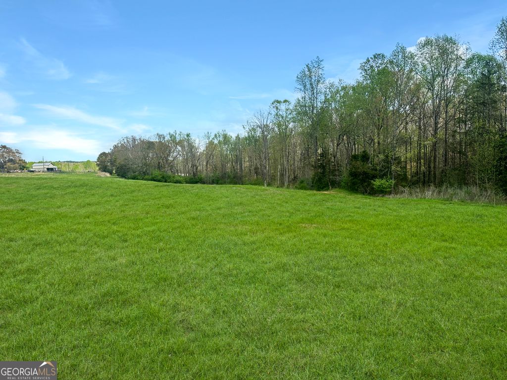 0 Gooseneck Road, Eastanollee, GA 30538 — photo 4