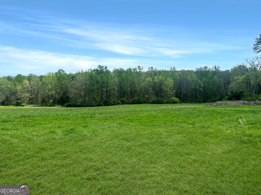 0 Gooseneck Road, Eastanollee, GA 30538 — photo 5