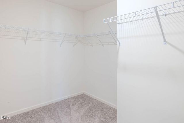 956 Rift Valley Drive, Zebulon, NC 27597