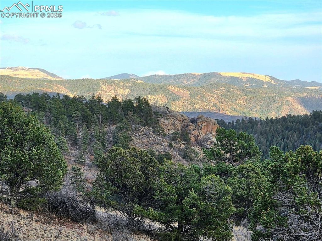 204 Pine Road, Florissant, CO 80816 — exterior