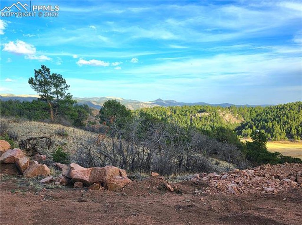204 Pine Road, Florissant, CO 80816 — photo 2
