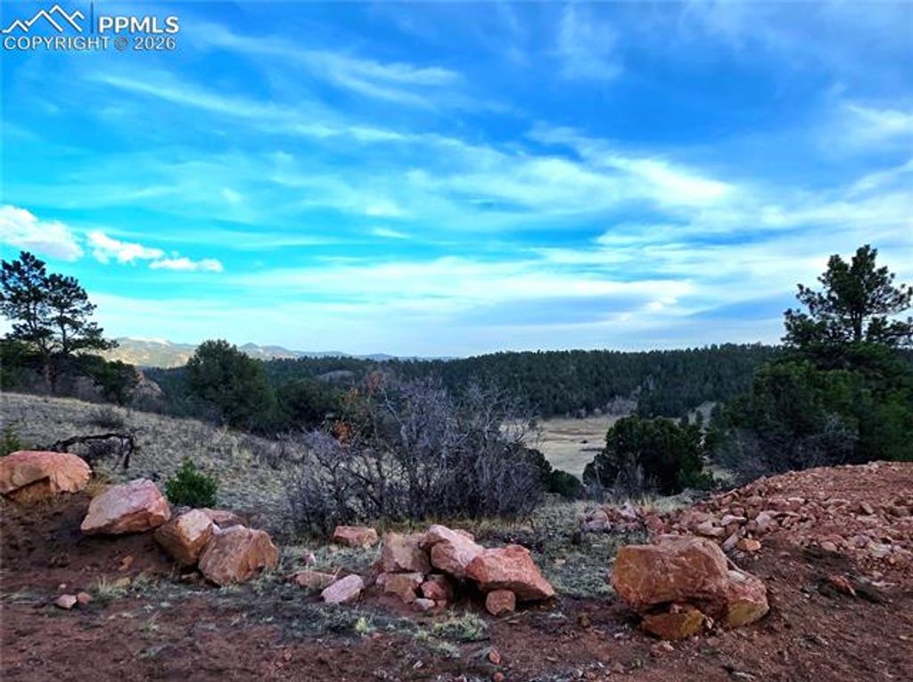 204 Pine Road, Florissant, CO 80816 — photo 3