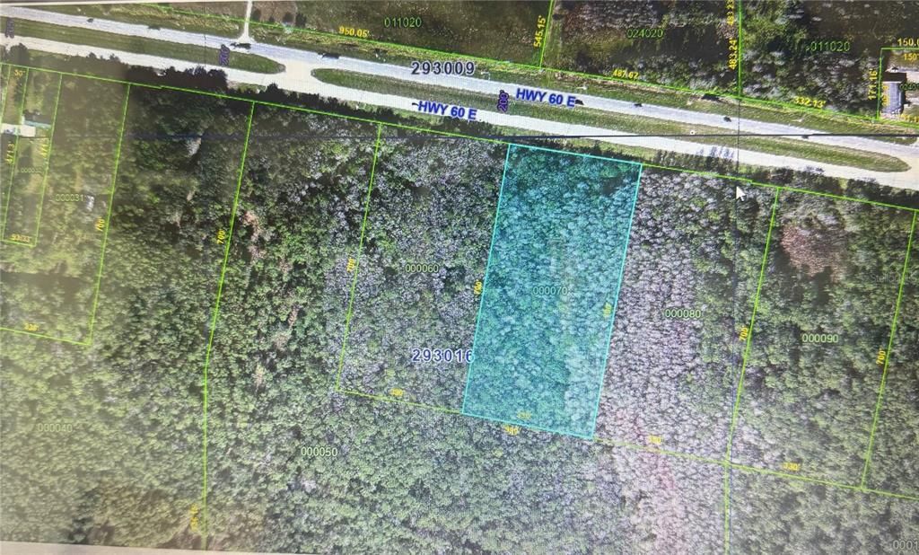 0 STATE RD 60 E LOT 7, Lake Wales, FL 33898