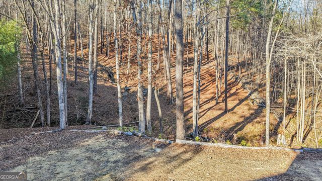 744 Narroway Trail, Dallas, GA 30132