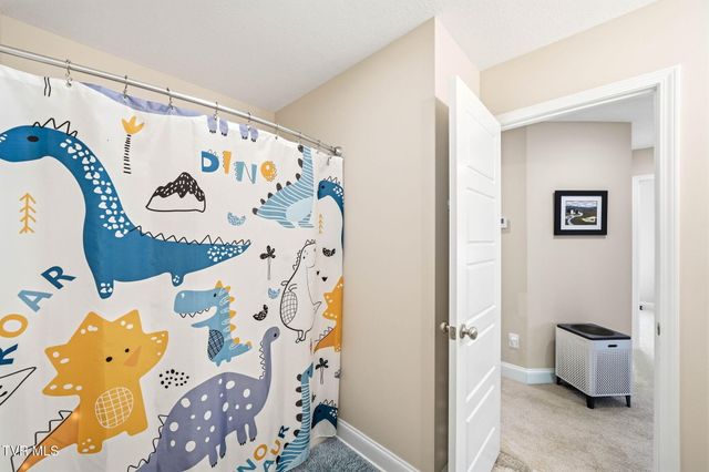 205 Addie Marie Drive, Jonesborough, TN 37659