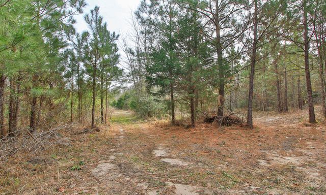 495 Pinecrest Drive, Point Blank, TX 77364