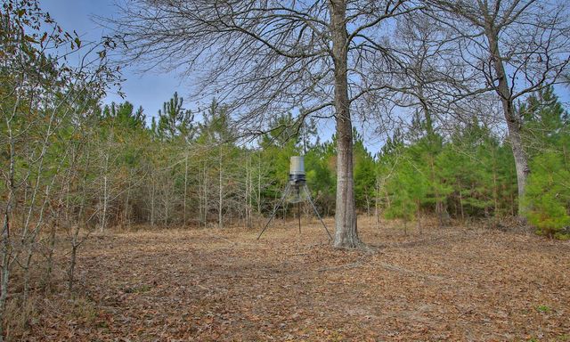 495 Pinecrest Drive, Point Blank, TX 77364