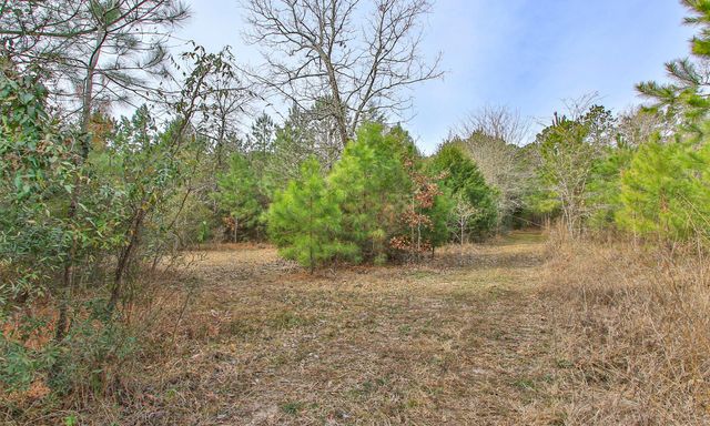 495 Pinecrest Drive, Point Blank, TX 77364