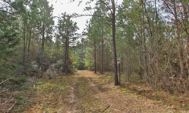 495 Pinecrest Drive, Point Blank, TX 77364