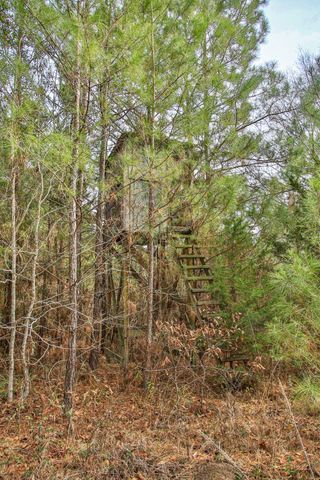495 Pinecrest Drive, Point Blank, TX 77364