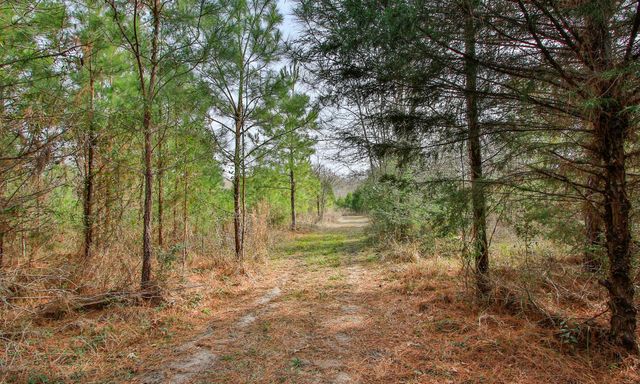 495 Pinecrest Drive, Point Blank, TX 77364