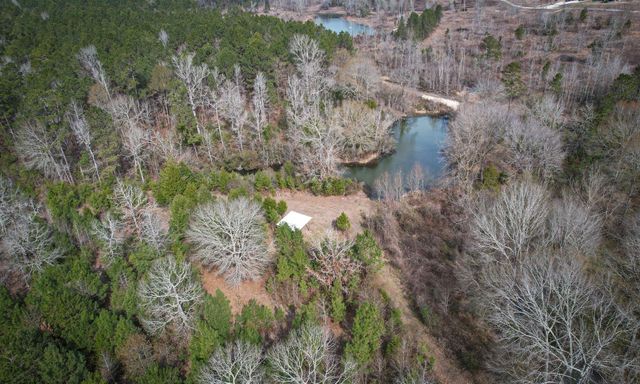 495 Pinecrest Drive, Point Blank, TX 77364