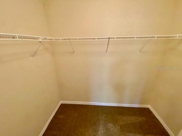 13815 RIVER FISH COURT, Tampa, FL 33637