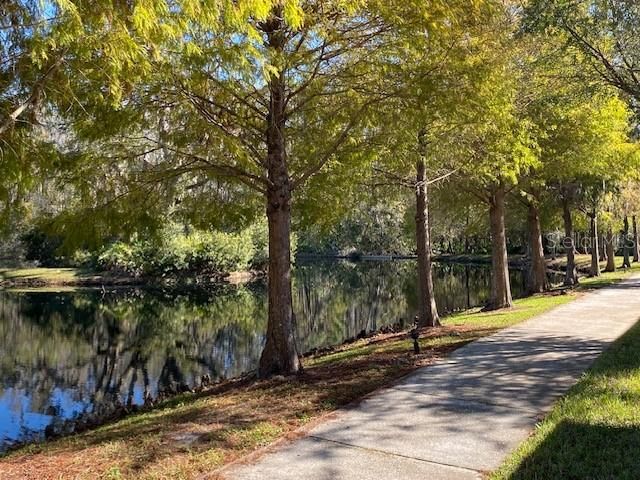 13815 RIVER FISH COURT, Tampa, FL 33637