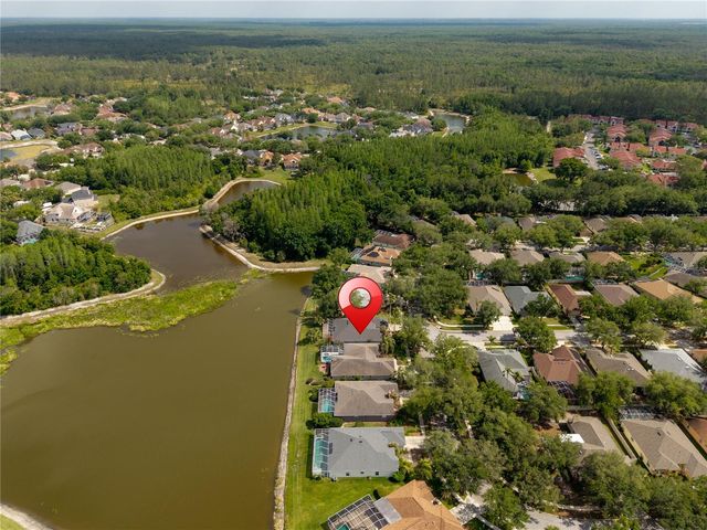 9442 HUNTERS POND DRIVE, Tampa, FL 33647