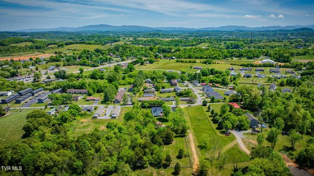 1360 Cora Lane, Gray, TN 37615