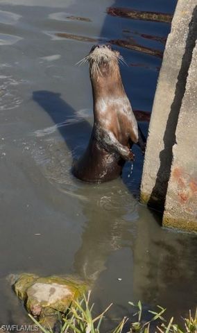 6300 Cougar RUN # 104, Fort Myers, FL 33908