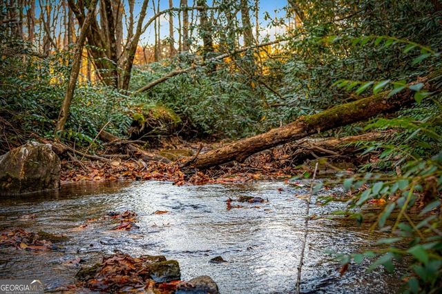 90 Hay Lane, Morganton, GA 30560