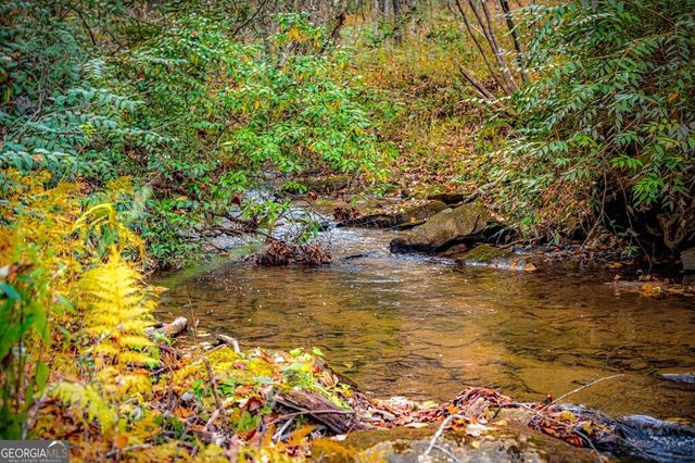 90 Hay Lane, Morganton, GA 30560