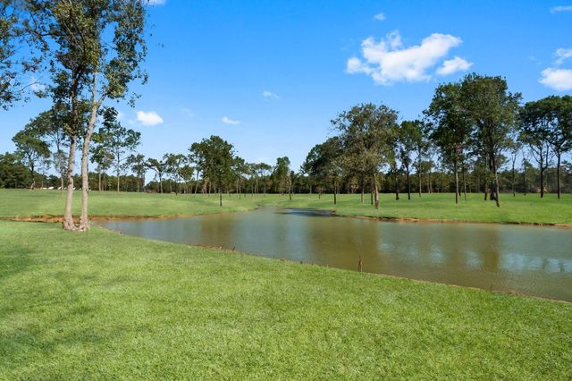 Lot 4 Shores Court, Livingston, TX 77351