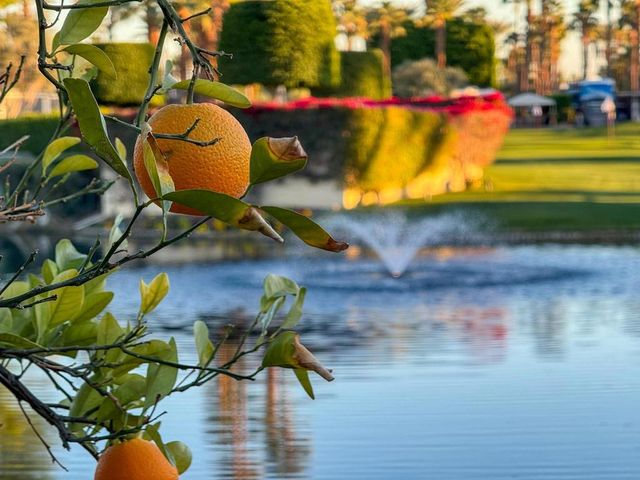 80394 Avenue 48 212, Indio, CA 92201