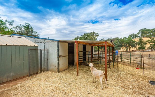 18000 W Clinton Rd, Jackson, CA 95642