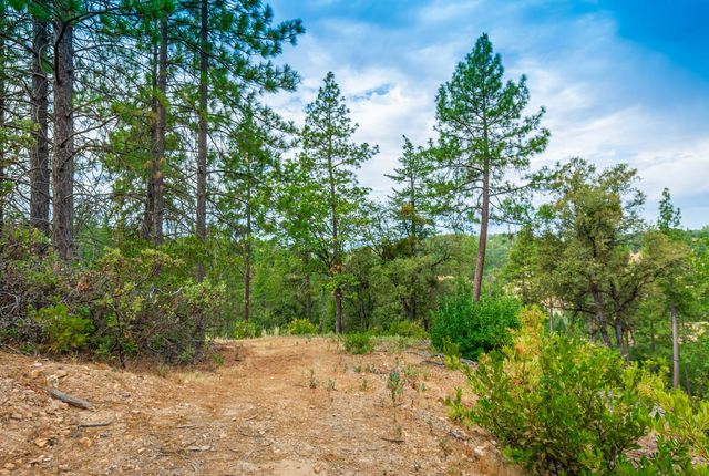 18000 W Clinton Rd, Jackson, CA 95642