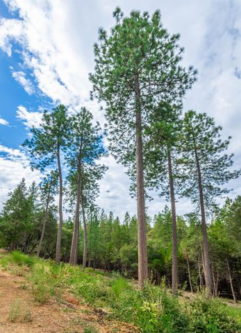 18000 W Clinton Rd, Jackson, CA 95642