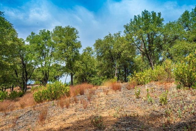 18000 W Clinton Rd, Jackson, CA 95642