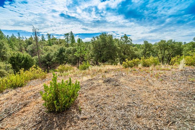 18000 W Clinton Rd, Jackson, CA 95642