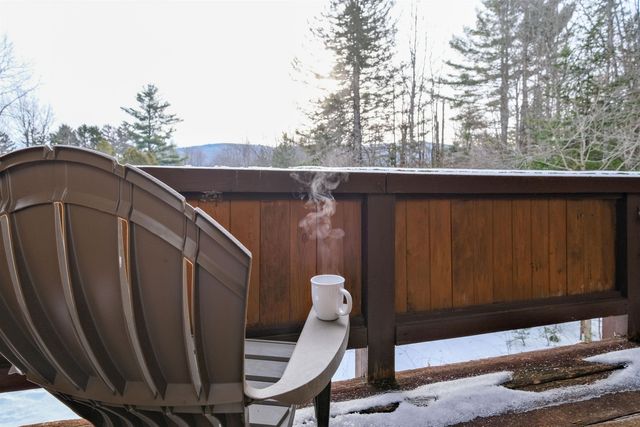 609 Alpine Drive, Mount Holly, VT 05758