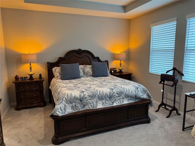 10437 LAXER CAY LOOP, San Antonio, FL 33576