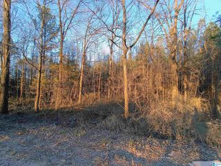 00 ZUBERS ROAD, Sylacauga, AL 35150
