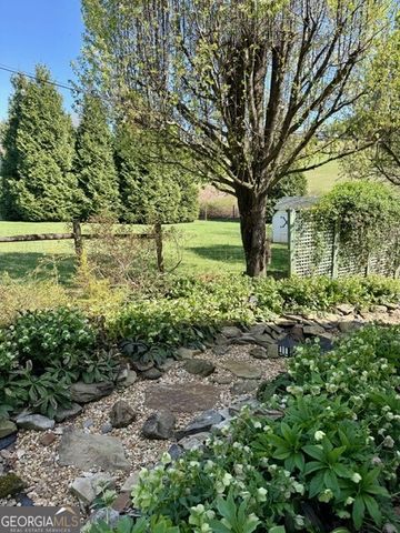 991 Adair Mill Road, Cleveland, GA 30528