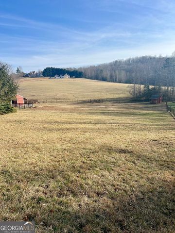 991 Adair Mill Road, Cleveland, GA 30528